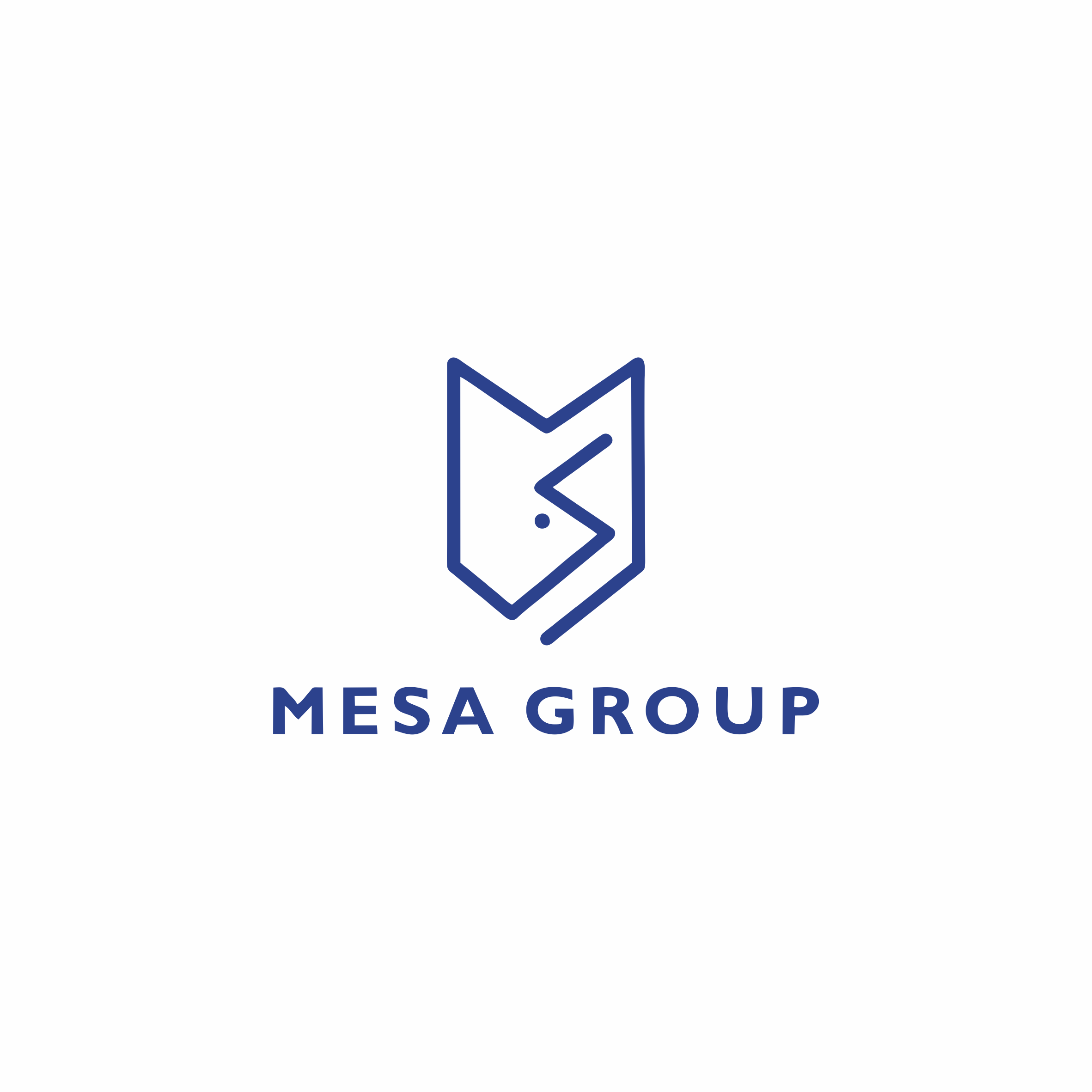 MESA GROUP